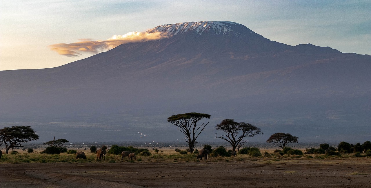 africa, kenya, amboseli national park-4055169.jpg